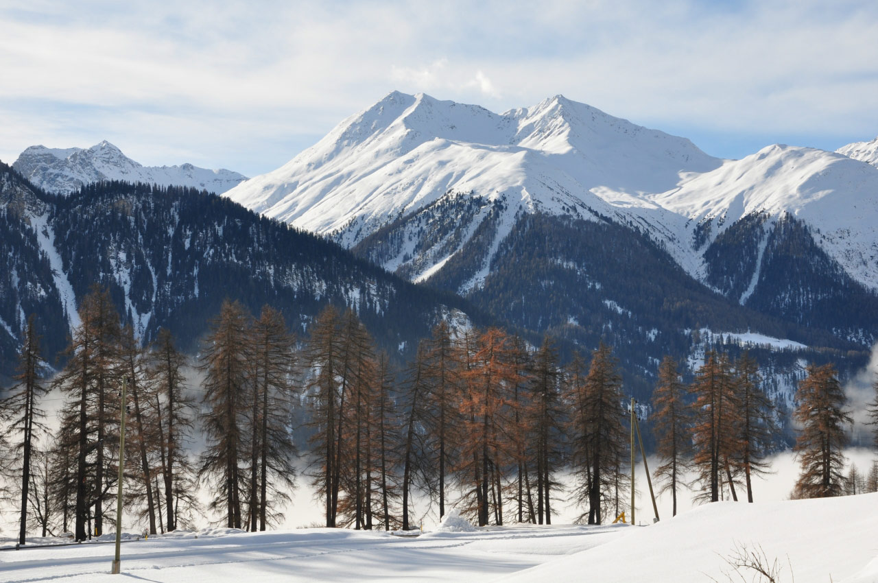 Scuol